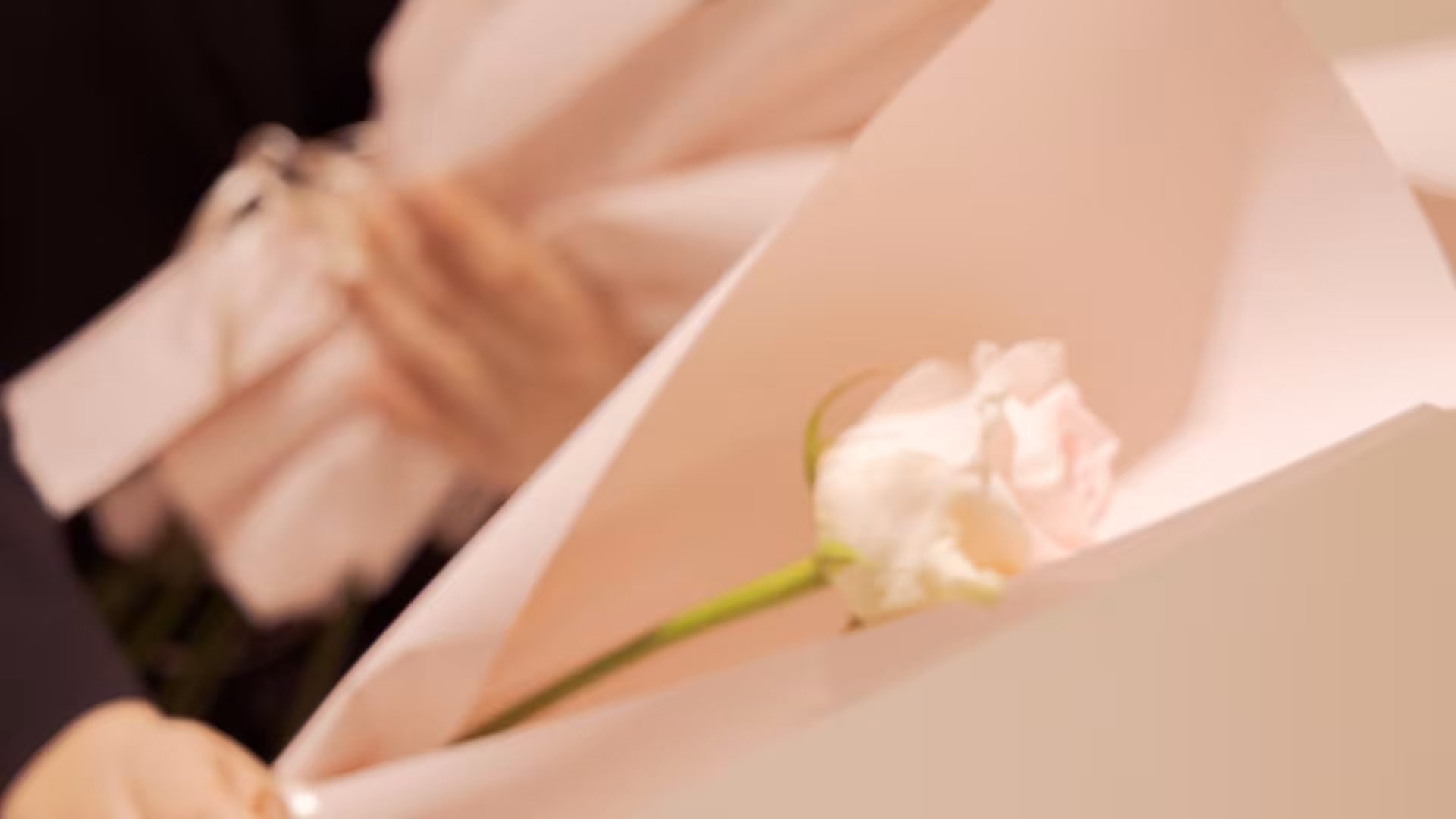 Only THEBIEN Wedding 8