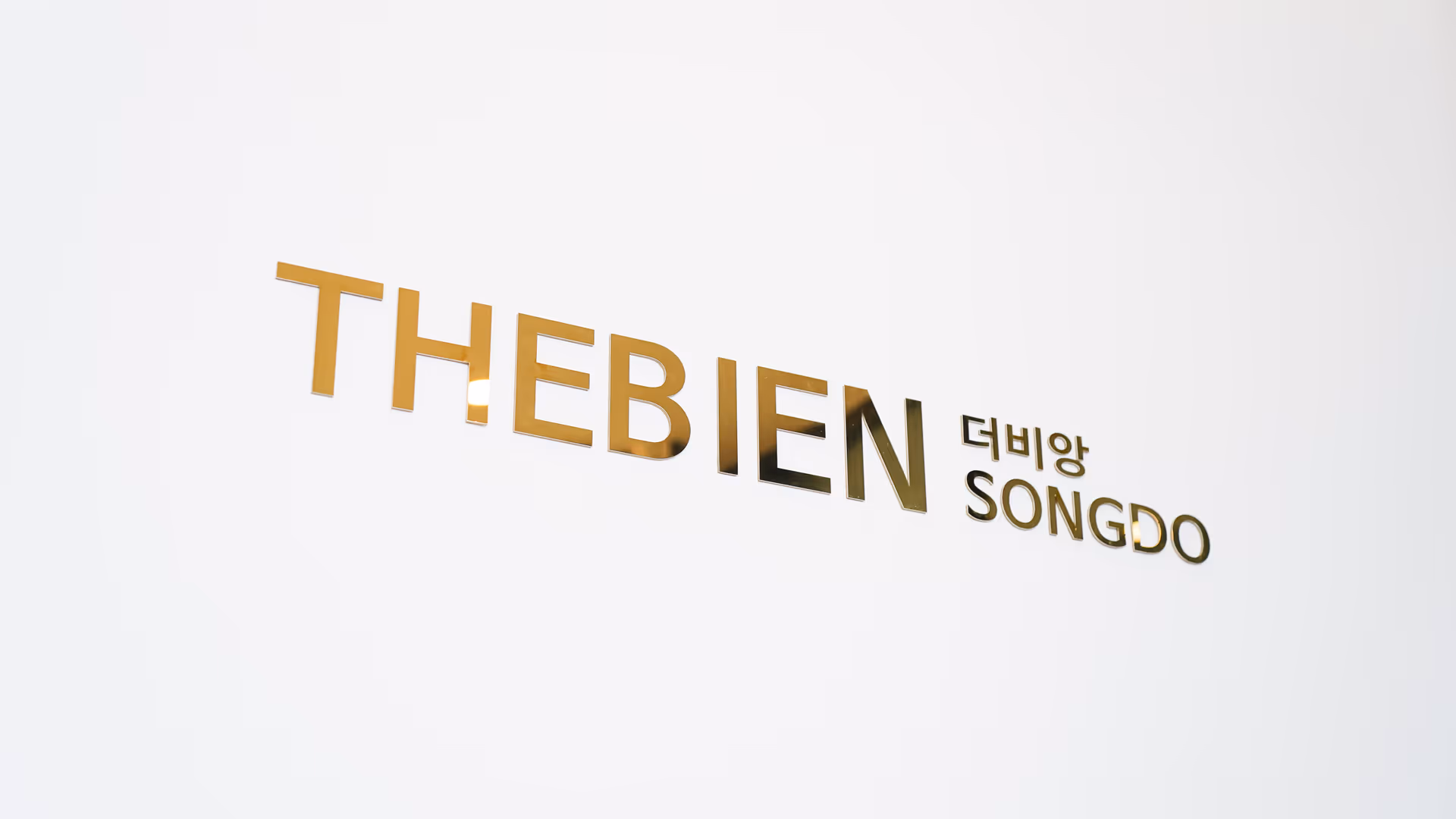 THEBIEN 더비앙송도 브랜드 로고